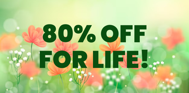 80% OFF FOREVER